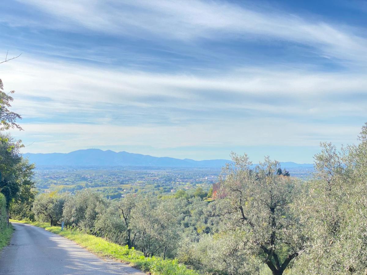 Leonardo Da Vinci - Appartamento Nel Verde Con Parcheggio E Wi-Fi Extérieur photo